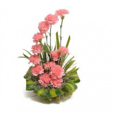 Carnation Flowers...