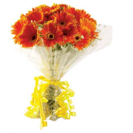 Lovely Gerberas flow...