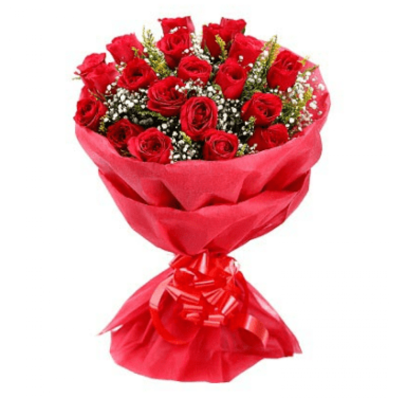 Love is Forever 20 Red Rose.