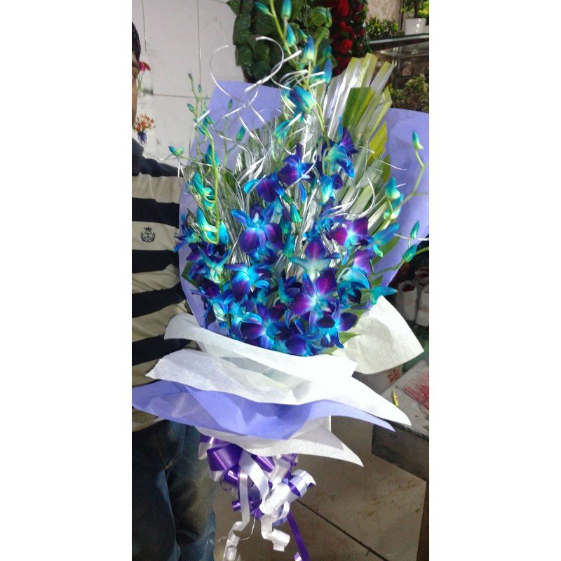 Orchids Blue.